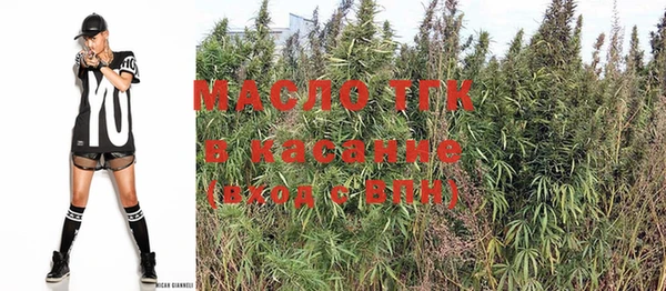 твердый Володарск