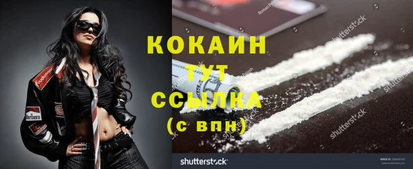 твердый Володарск