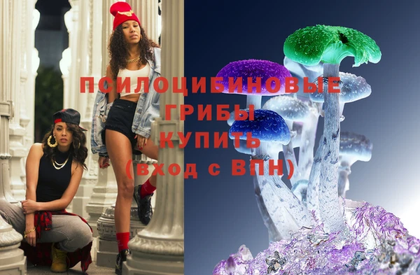стаф Волосово