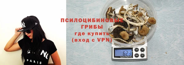 хмурый Волоколамск