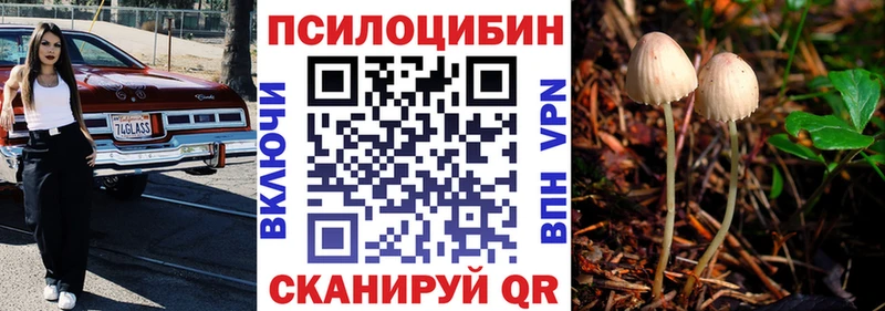 Галлюциногенные грибы прущие грибы Дегтярск